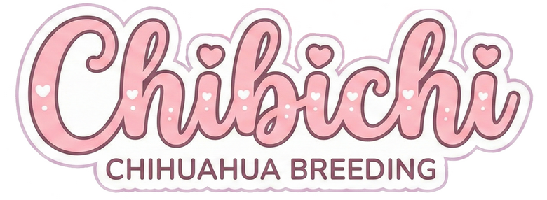 chibichi logo